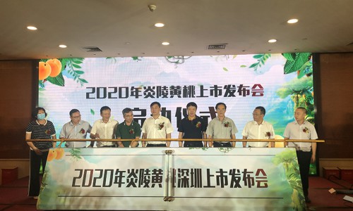 “炎陵黄桃 桃醉天下”2020炎陵黄桃上市发布会在深举行