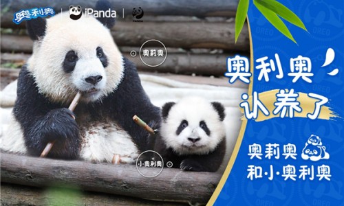 奥利奥终身认养两只同名大熊猫，号召与更多消费者一同关注可持续议题