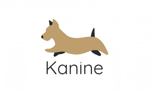 与Kanine签署全球许可协议，TOMMY HILFIGER推出宠物系列 - 商业 - 大众新闻网—大众生活报官网