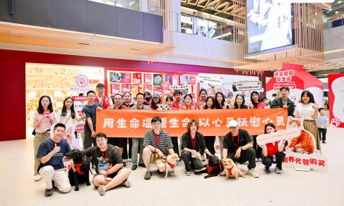 2025皇家“校园喵拆‘蛋’行动”再出发，将校园公益延展至城市公益
