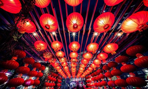 在悉尼感受别样年味，焕新体验迎新春