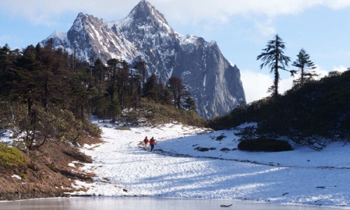 一种出发，两种奔赴 可隆以"重装"支持山林巡护并发布纪录片《循杉之道•出发》