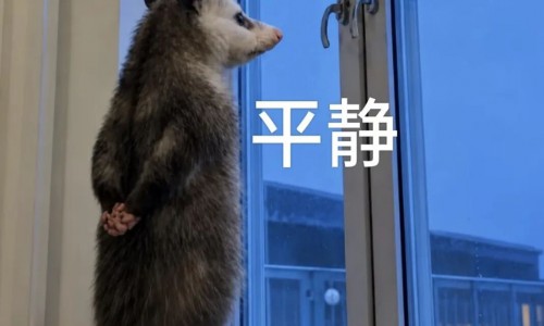 一条「不和身体较劲」的裤子，有多重要
